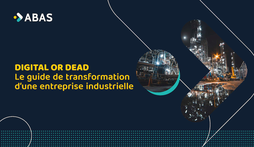 FWE_Abas_Ebook_Digital_Or_Dead_FR FWE_Abas_Ebook_Digital_Or_Dead_FR