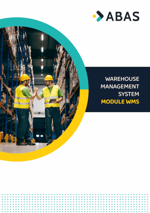 FWE_Abas_Module_WMS FWE_Abas_Module_WMS